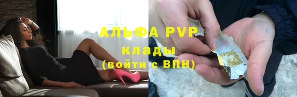 сатива Баксан