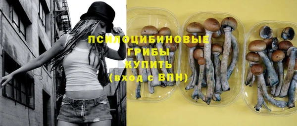 соль ск Балабаново