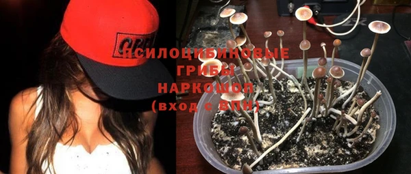 соль ск Балабаново